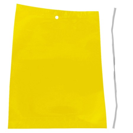 Placa Trampa Atrapa Moscas Mosquitos Cromática