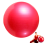 Pelota De Pilates y Yoga De Esferodinamia 65 cm