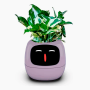 Maceta Inteligente IVY con IA y App | Interactiva y Decorativa