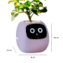 Maceta Inteligente IVY con IA y App | Interactiva y Decorativa
