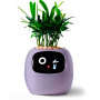 Maceta Inteligente IVY con IA y App | Interactiva y Decorativa