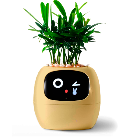 Maceta Inteligente IVY con IA y App | Interactiva y Decorativa