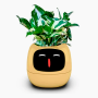 Maceta Inteligente IVY con IA y App | Interactiva y Decorativa