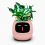 Maceta Inteligente IVY con IA y App | Interactiva y Decorativa