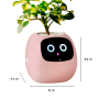Maceta Inteligente IVY con IA y App | Interactiva y Decorativa