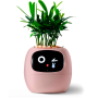 Maceta Inteligente IVY con IA y App | Interactiva y Decorativa