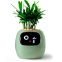 Maceta Inteligente IVY con IA y App | Interactiva y Decorativa