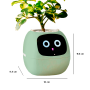 Maceta Inteligente IVY con IA y App | Interactiva y Decorativa