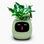 Maceta Inteligente IVY con IA y App | Interactiva y Decorativa