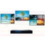 Procesador Multiview 4 a 1 1080p DVI / AV