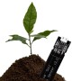 Sensor de humedad de suelo con conector gravity 3 pines