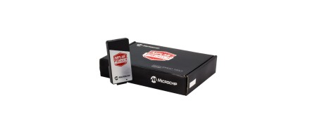 Potencia y Eficiencia en la Programación de Microcontroladores PIC